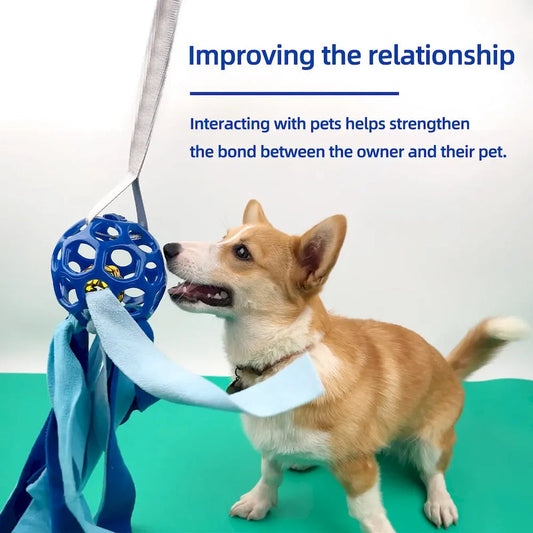 Interactive Pet Toy Ball TPR Hollow Sound Ball for Dogs and Cats