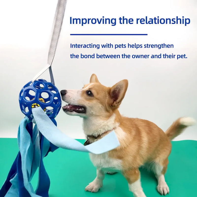 Interactive Pet Toy Ball TPR Hollow Sound Ball for Dogs and Cats