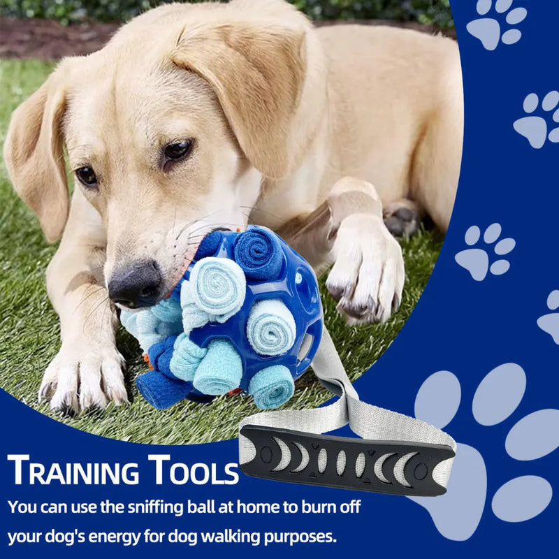 Interactive Pet Toy Ball TPR Hollow Sound Ball for Dogs and Cats